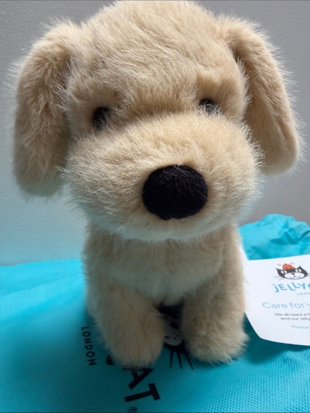 Jellycat Golden Puppy nwt and dust bag